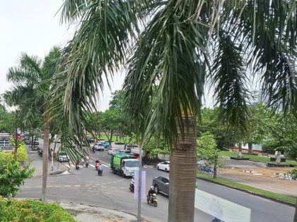 Trước cau sau chuối có còn phù hợp phong thủy?